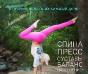 фитнес-клуб evolution изображение 4 на проекте lovefit.ru
